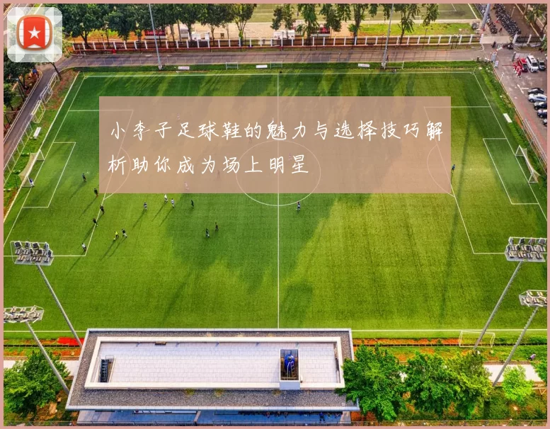 小李子足球鞋的魅力与选择技巧解析助你成为场上明星