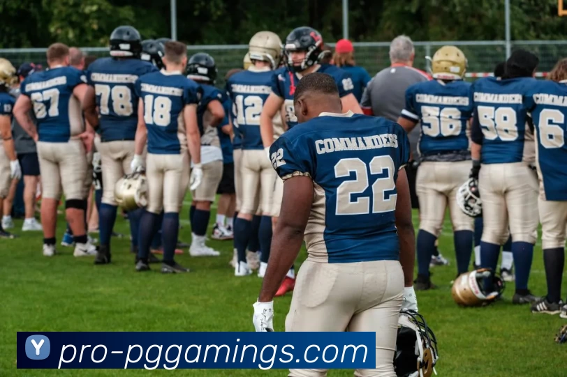 App Interface Preview